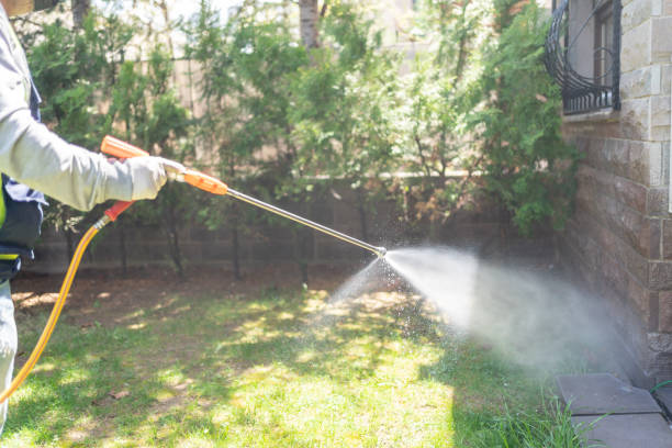 Emergency Pest Control Services in South Oroville, CA